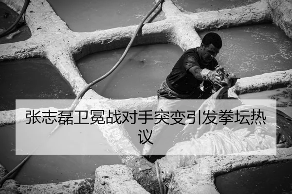 张志磊卫冕战对手突变引发拳坛热议