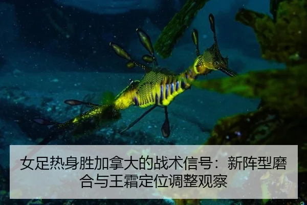 nv-zu-re-shen-sheng-jia-na-da-de-zhan-shu-xin-hao-xin-zhen-xing-mo-he-yu-wang-shuang-ding-wei-tiao-zheng-guan-cha-3-460.jpg
